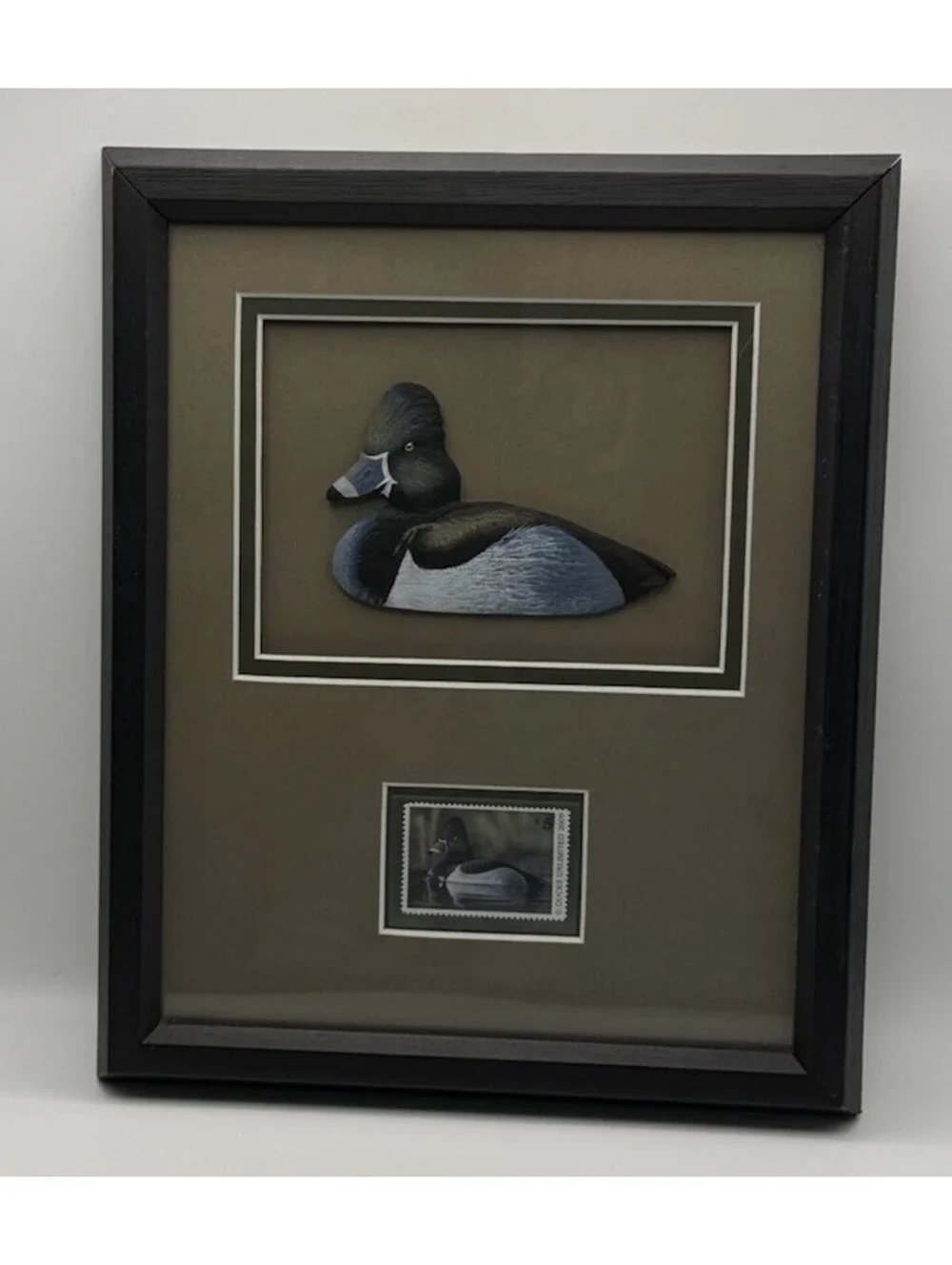 N/A 2009 ducks